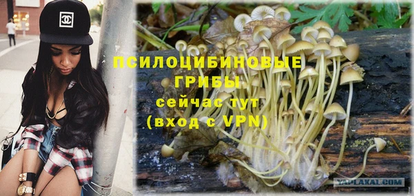 соль ск Краснотурьинск